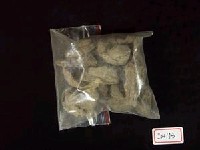 藏品(碎骨片)的圖片